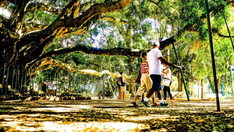 O que fazer em Florianópolis: confira lugares para conhecer na Ilha da Magia